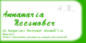 annamaria mecsnober business card